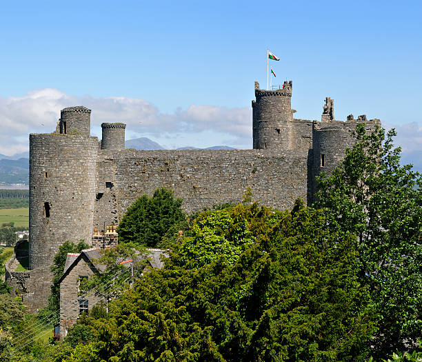 istock Harlech Castle XXXL 184153467