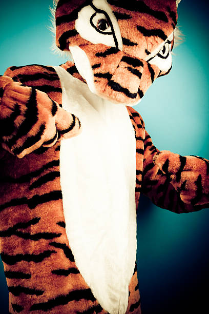 istock studio shot of a not so wild tiger 184153646