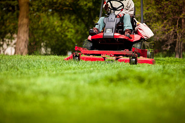 27,800+ Lawn Maintenance Stock Photos, Pictures & Royalty-Free Images -  iStock | Lawn maintenance worker, Lawn maintenance service, Spring lawn  maintenance