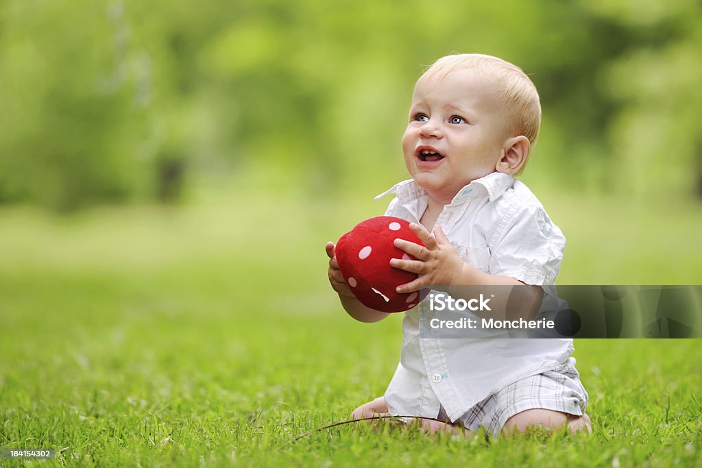 Alegre bebê brincando no parque - Foto de stock de 6-11 meses royalty-free