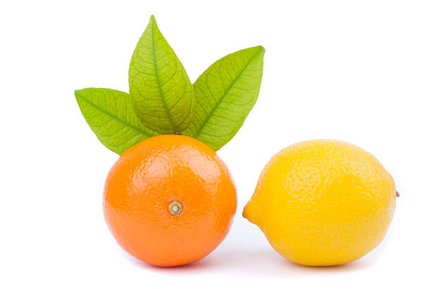 istock Tangerine and lemon on a white background. 184165522
