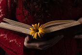 A book with a flower as a bookmark in the hands of the reader