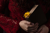 A book with a flower as a bookmark in the hands of the reader
