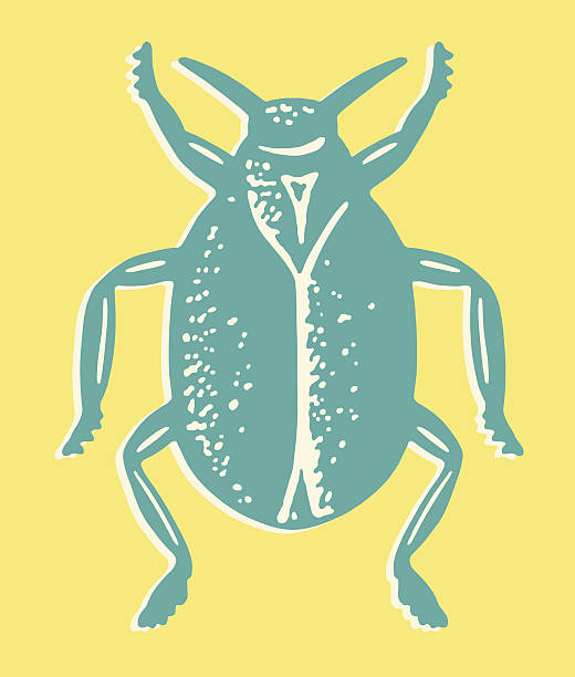 Insect Insect longhorn beetle stock illustrations