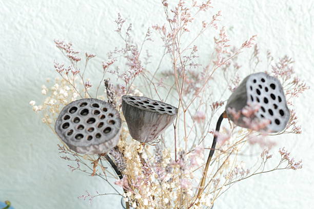 Dry floral decoration with lotus in vase, natural light