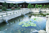 lotus-pool-in-der-chinesischen-tempel.jp