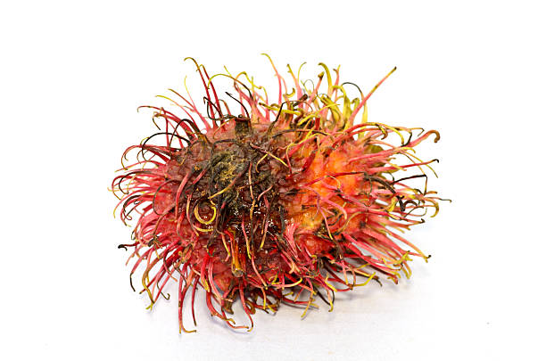 istock Rotten rambutan isolated on white 184168791
