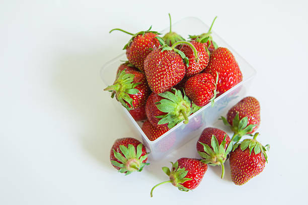 Strawberry – zdjęcie