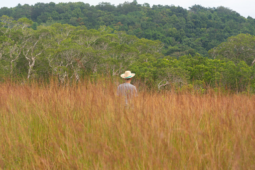 An Asian adult man wearing hat walking in savannah field at giant cliff, Hat Thai Mueng beach, Phangnga province. Sustainability travel concept.