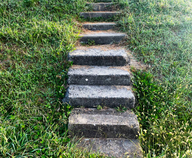 istock Old stone steps on a grassy bank 1841737207