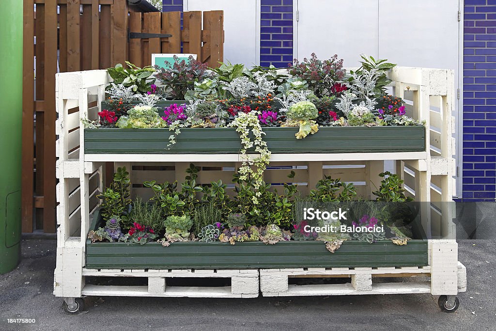 Pallet with flowers Flowers in mobile shelf made from industrial pallets Botany Stock Photo