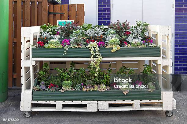 Pallet With Flowers Stock Photo - Download Image Now - Botany, Factory, Flower