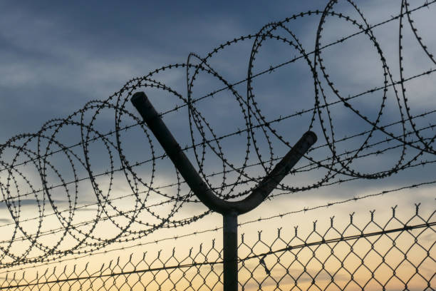 istock Sydney Airport Sunset Wire 1841782053