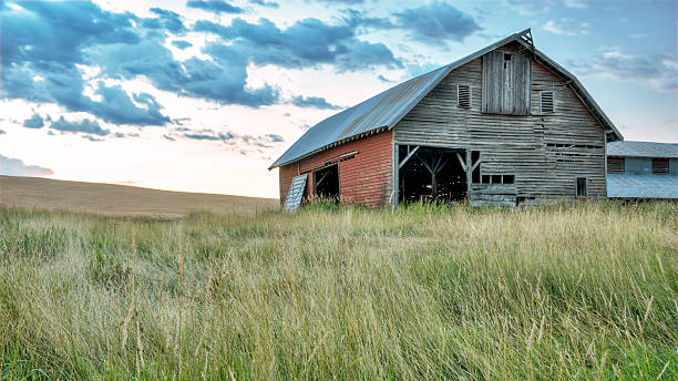 istock Farm barn in a field of grass 184179190