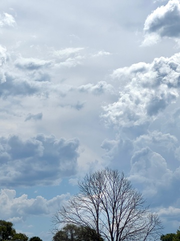 Vertical photo of clouds in a blue toned Summer sky, Uralla near Armidale, New England high country, NSW. Bare tree branches and shrubs in silhouette are in the foreground.