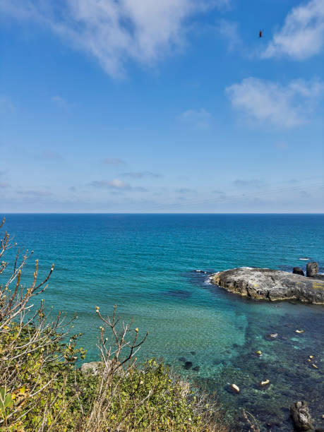 istock Sea view and forest in nice weather. 1841837428