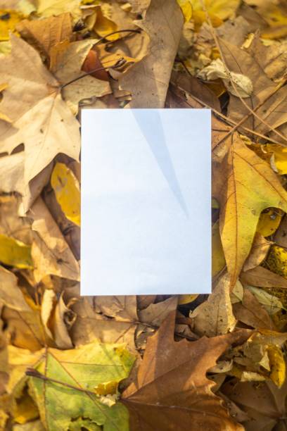 istock Autumn layout  mockup with yellow and orange leaves with postcard for your text 1841840590