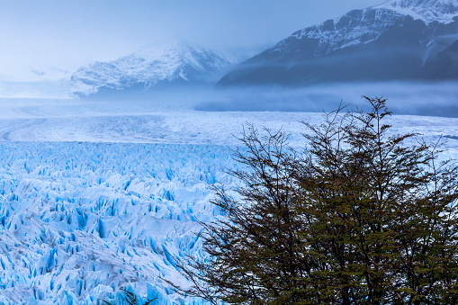 Perito Moreno Glacier, Los Glaciares National Park, Argentina.