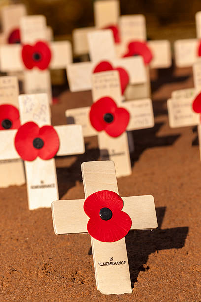istock Remembrance Day Poppies and Crosses 184189626
