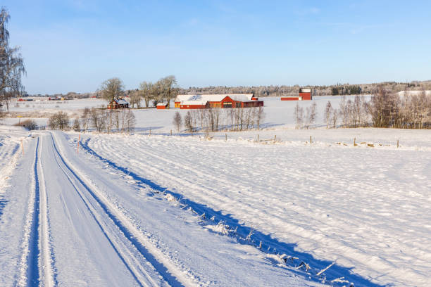 istock Snowy dirt road in the countryside 1841898569