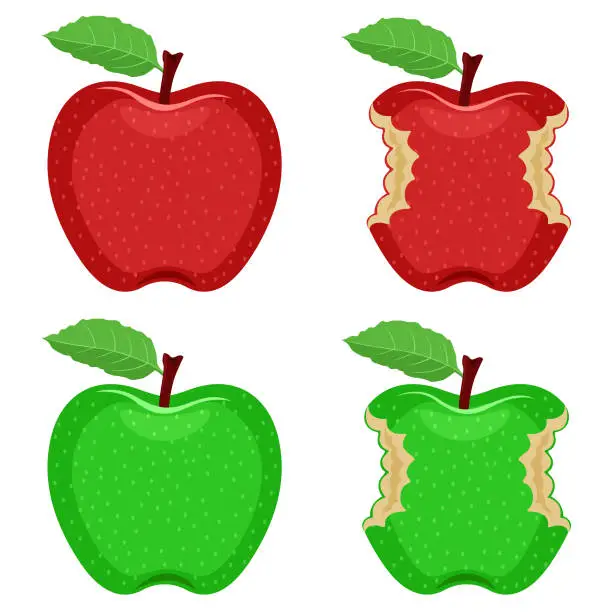 Vector illustration of Apple Bite vector set