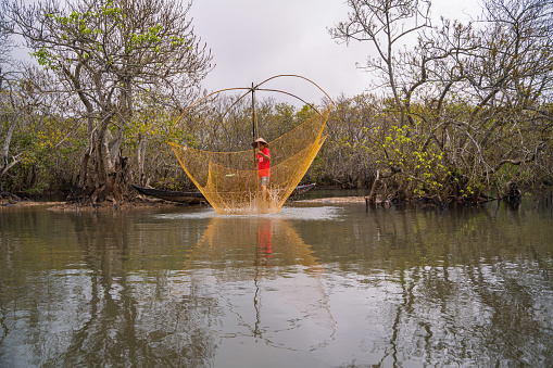 Fisherman in Ru Cha forest - a mangrove forest in leaf changing season - Huong Phong, Huong Tra, Thua Thien Hue province