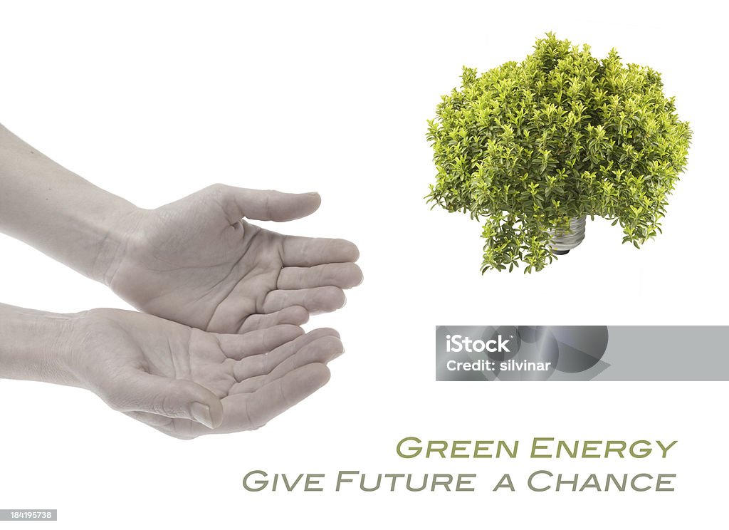 Green energy concept Hands and light bulb - Ecology and Environment concept. Chance Stock Photo