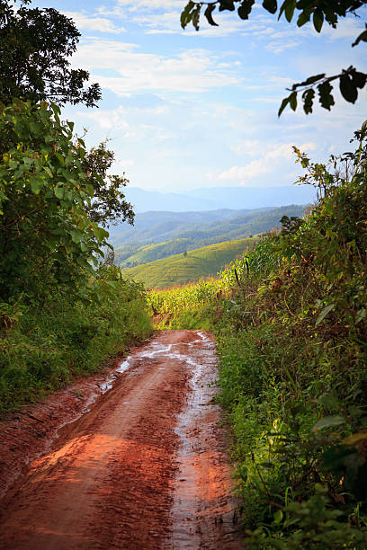 istock country road on rural scene 184195756