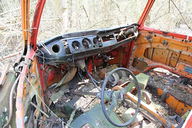 A car that has been in a local forrest for more than 10 years...amazing what time does to objects dumped in nature