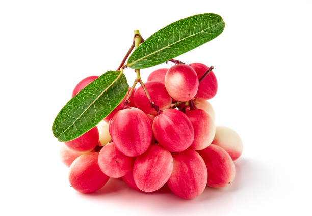 Karonda and leaves isolated on white background. Karonda is fruit in the berry group, has a sour taste, scientific name Carissa carandas (Carunda, Christ's thorn, Bengal Currants).