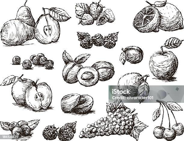 Fruit Stock Illustration - Download Image Now - Apple - Fruit, Apricot, Blackberry - Fruit