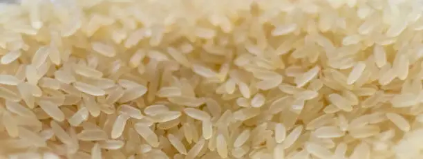 Photo of Close up shot of the white rice. Food
