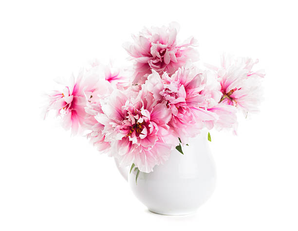 istock Pink peonies in vase 184200078
