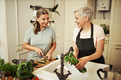 Good looking senior female with short hair standing by sink, washing celery and smiling, cooking dinner together with her elderly sister who holding sharp knife, cutting cucumber on cooking board