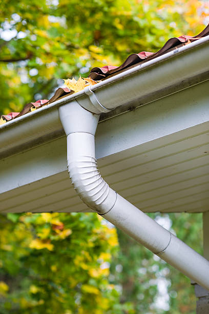 istock A bunch of leaves in a gutter on a house 184201605