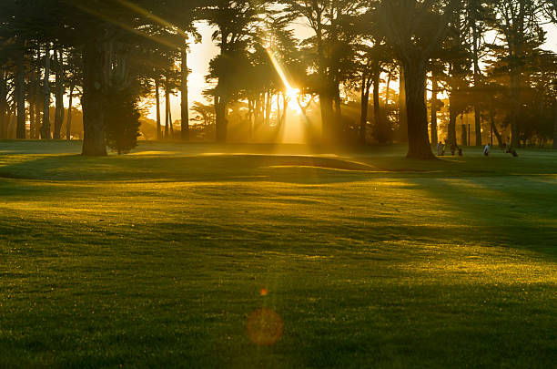 sonnenaufgang in misty galf golfplatz - golf golf course sunrise morning stock-fotos und bilder