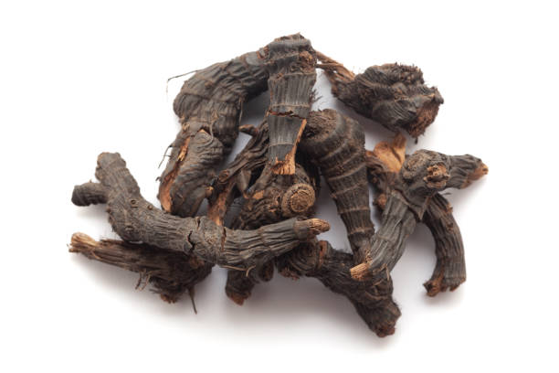 istock Close-up of Dry Nagarmotha (Cyperus scariosus) roots. 1842038211