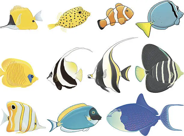 Vector illustration of Tropical fishes