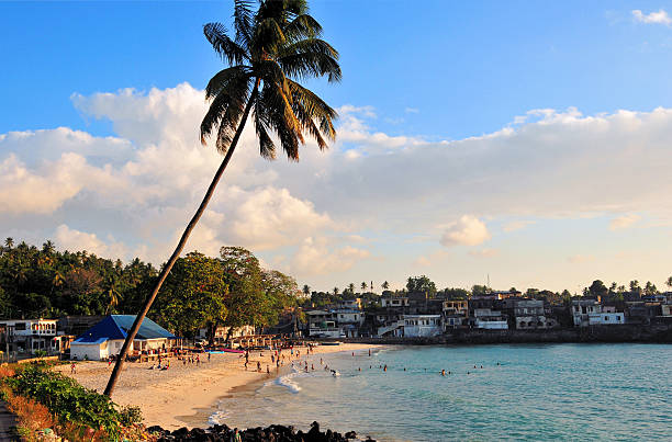 Itsandra, Comoros islands: beach Itsandra, Grande Comore / Ngazidja, Comoros islands: beach view - coconut tree - photo by M.Torres comoros stock pictures, royalty-free photos & images