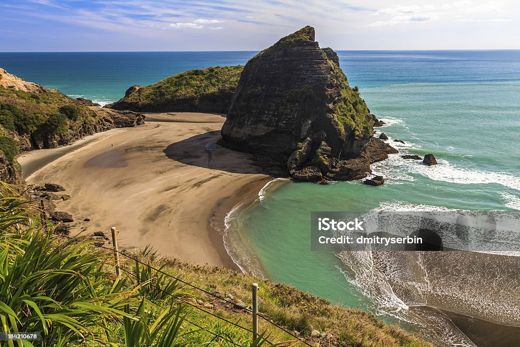 West Coast Beach, Piha, AUckland, New Zealand Auckland Stock Photo