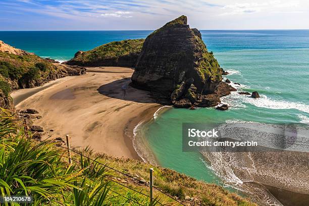 West Coast Beach Piha Auckland New Zealand Stock Photo - Download Image Now - Auckland, Piha Beach, Beach