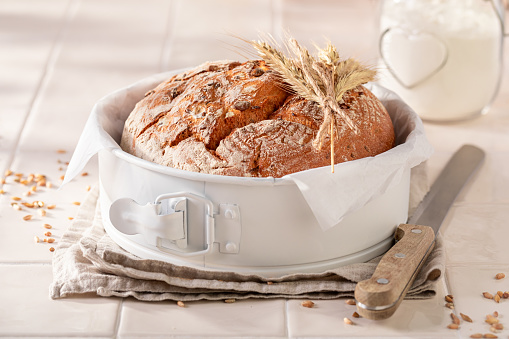 Healthy loaf of round bread for perfect and healthy breakfast. Bread in the countryside.