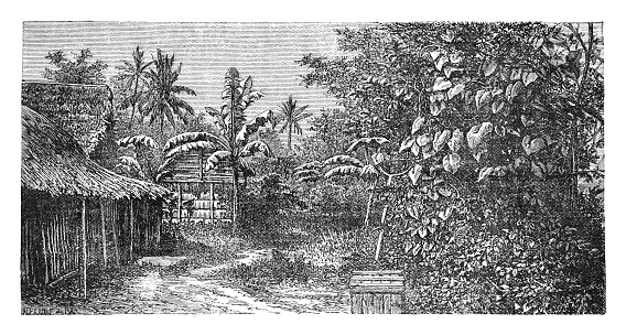 Vintage engraved illustration - Kampung (village) in Bogor (Buitenzorg) city in Java (Indonesia)