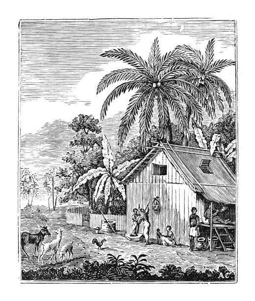 Vintage engraved illustration - House in Java (Indonesia)