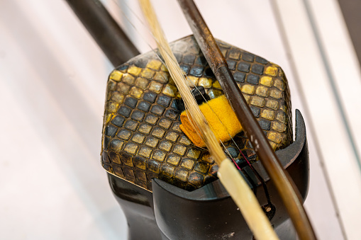 Musical instrument erhu (Chinese violin)snakeskin texture