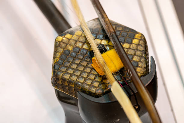 musical instrument erhu (chinese violin)snakeskin texture - erhu imagens e fotografias de stock