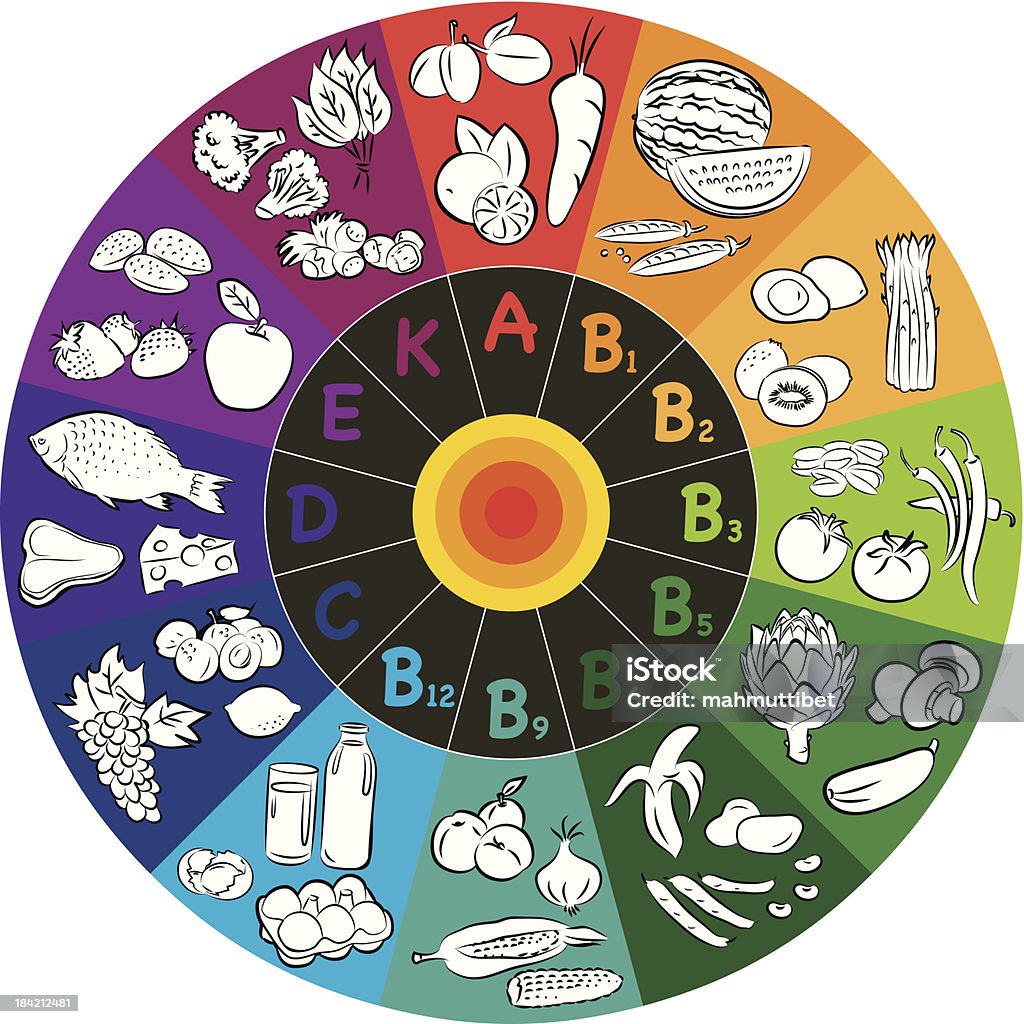 A color wheel with different vitamins and food groups vector illustration of vitamin groups in colored wheel Food stock vector