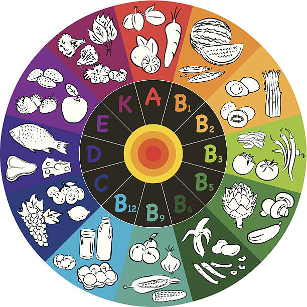 A color wheel with different vitamins and food groups vector illustration of vitamin groups in colored wheel vitamin a nutrient stock illustrations