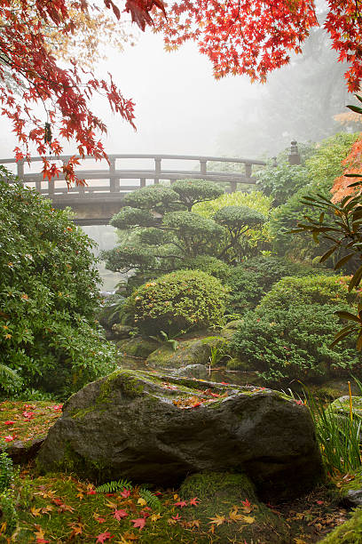 istock Rock and Bridge at Japanese Garden 184213378