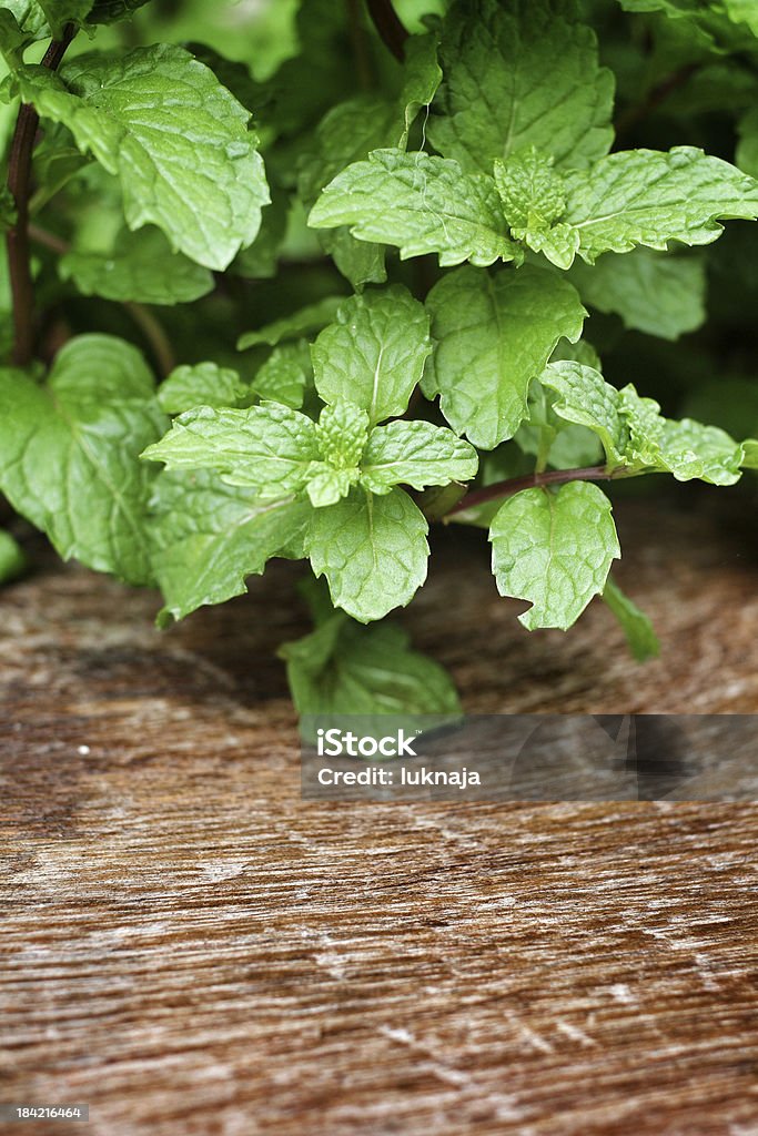 Pepper mint leaves Pepper mint leaves on old wood background Aromatherapy Stock Photo